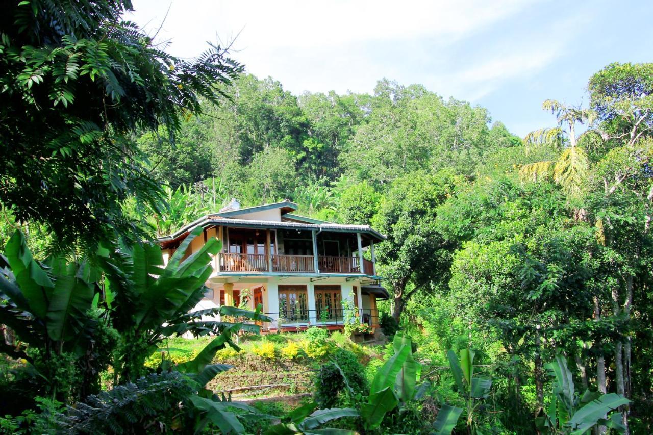 Blue Ribbon Homestay エッラ エクステリア 写真